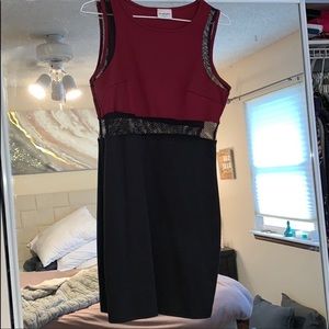 Bodycon mesh dress NWOT